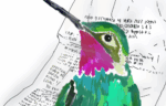 El colibrí en mi basura